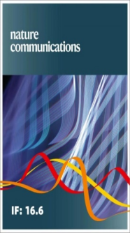 足球即时比分网